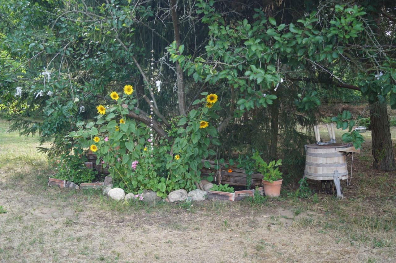Ferienwohnung Rehagen Sued Am Mellensee المظهر الخارجي الصورة