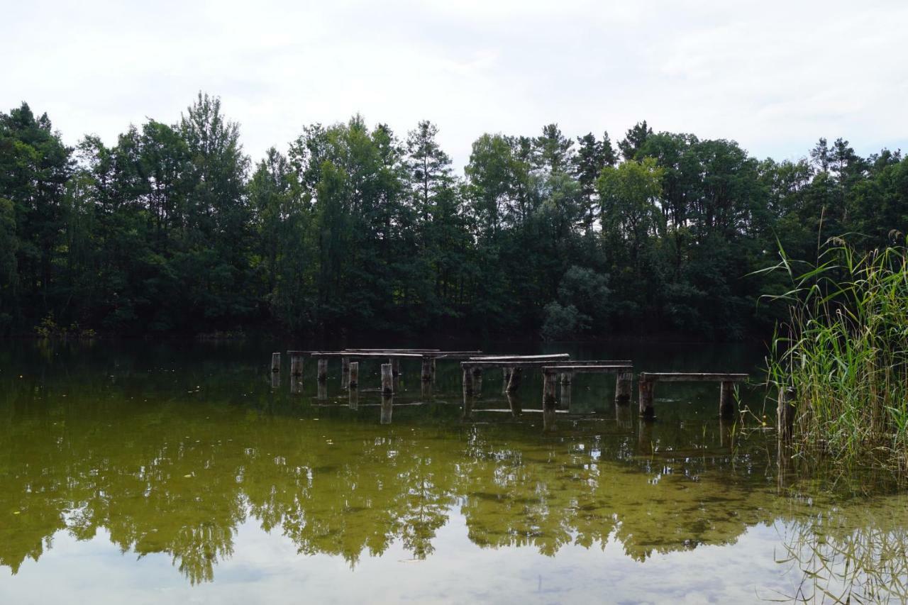 Ferienwohnung Rehagen Sued Am Mellensee المظهر الخارجي الصورة