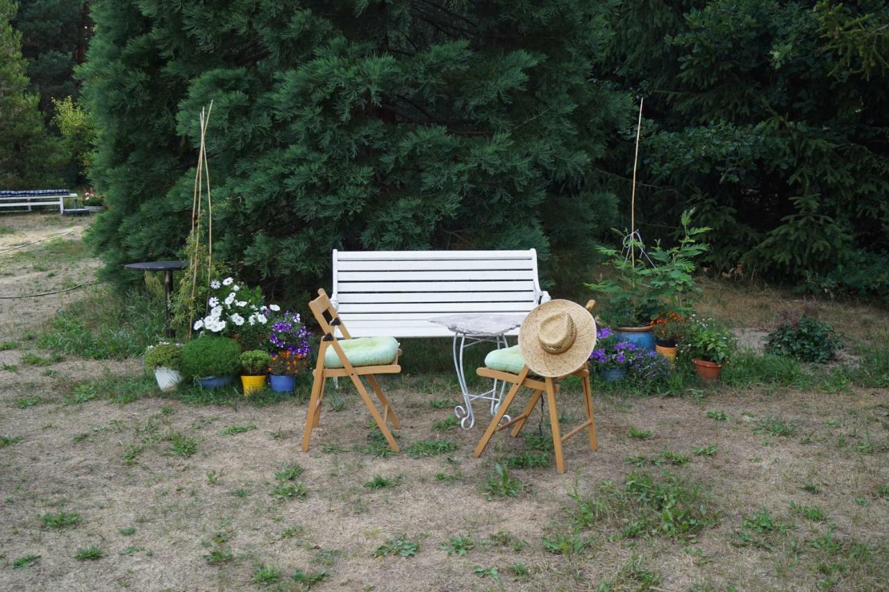 Ferienwohnung Rehagen Sued Am Mellensee المظهر الخارجي الصورة