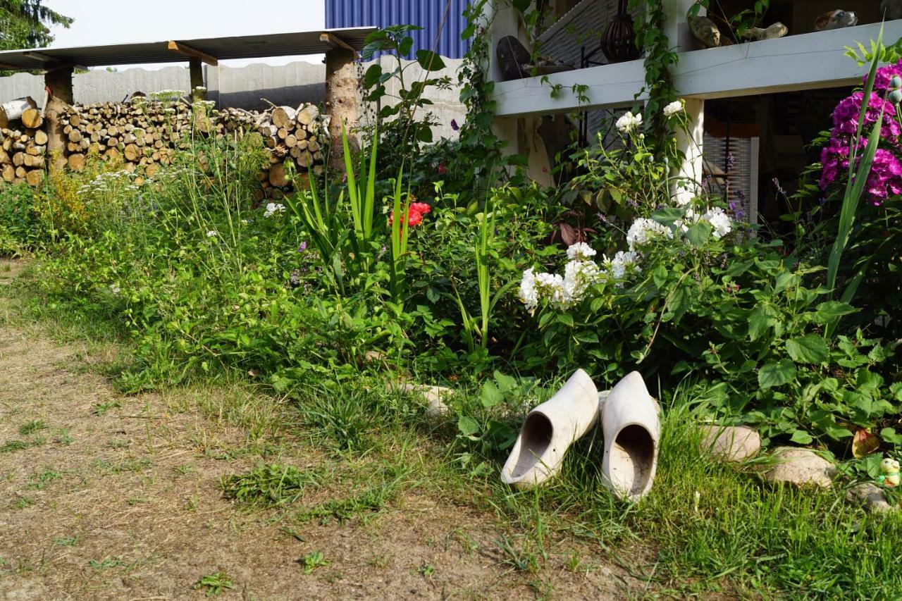 Ferienwohnung Rehagen Sued Am Mellensee المظهر الخارجي الصورة